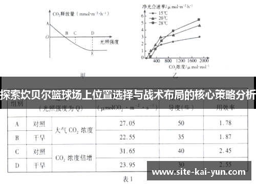 探索坎贝尔篮球场上位置选择与战术布局的核心策略分析