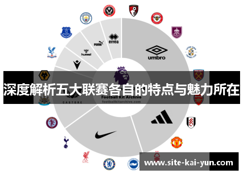 深度解析五大联赛各自的特点与魅力所在