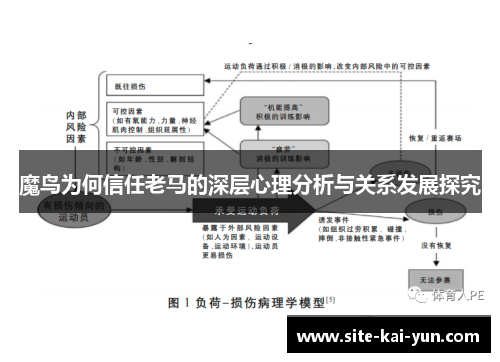 魔鸟为何信任老马的深层心理分析与关系发展探究 魔鸟为何信任老马的深层心理分析与关系发展探究